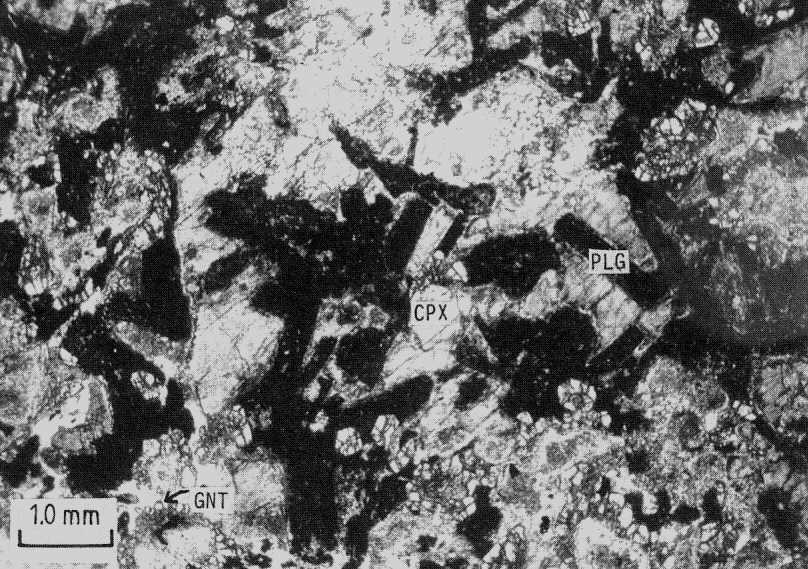 Ophitic fabric of metagabbro