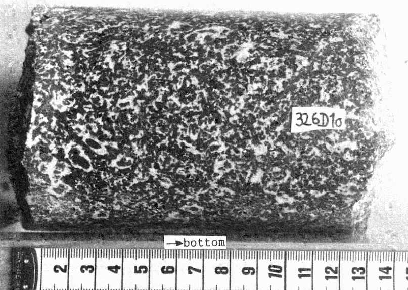 Massive metagabbro with coronitic fabric