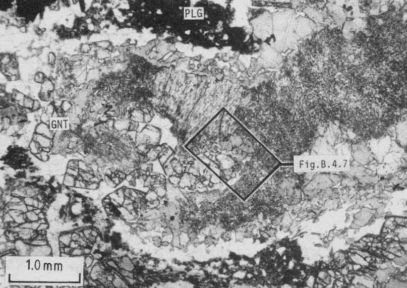 Overview of the typical fabric of metagabbros