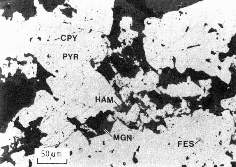 Pyrite  with inclusions of chalcopyrite