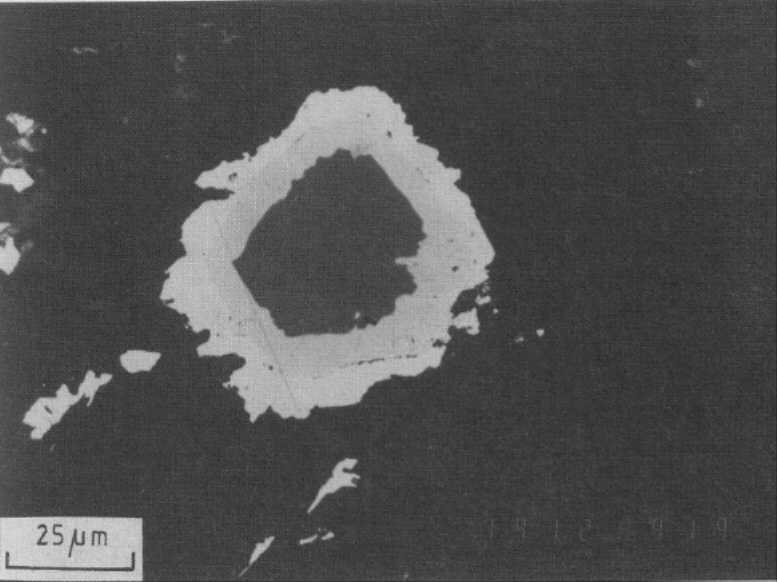 Very dark-grey spinel (picotite) with zoned rim of magnetite