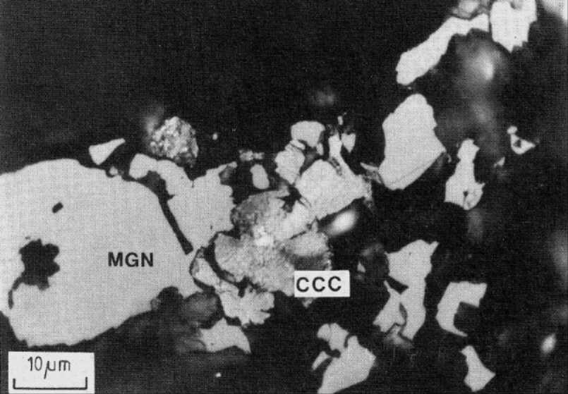Magnetite  intergrown with spherolitic graphite