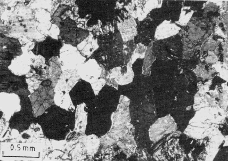 Microfabric in medium-grained, foliated amphibolite