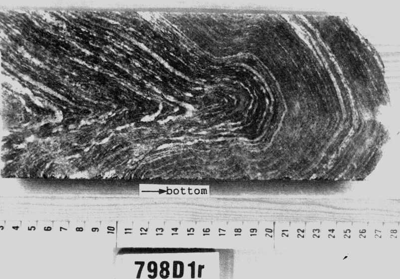 Tight to open fold in sillimanite-biotite gneiss