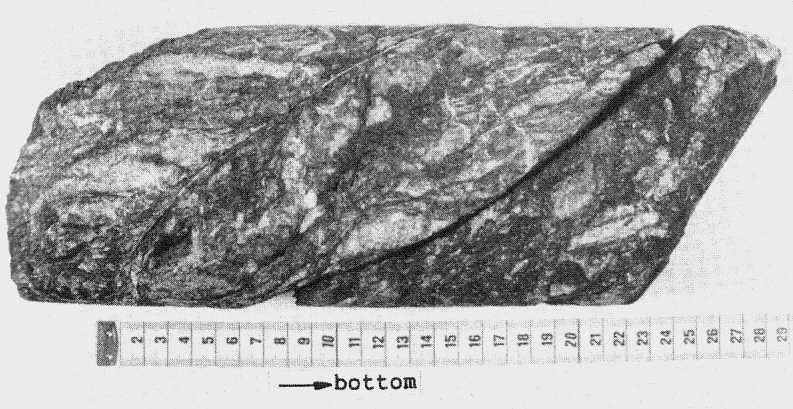 Cataclasite