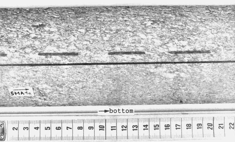 Sillimanite-biotite gneiss with medium grained flaser fabric