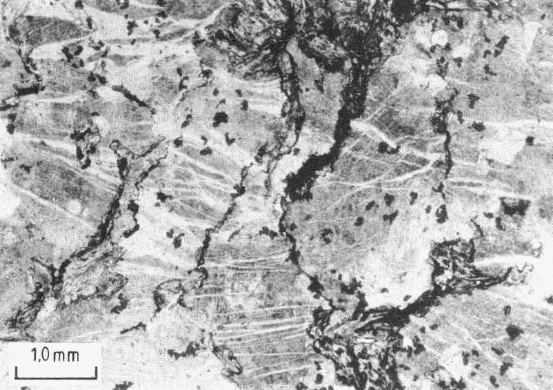 Fissures within garnet-biotite gneiss, mineralized with albite and zeolite