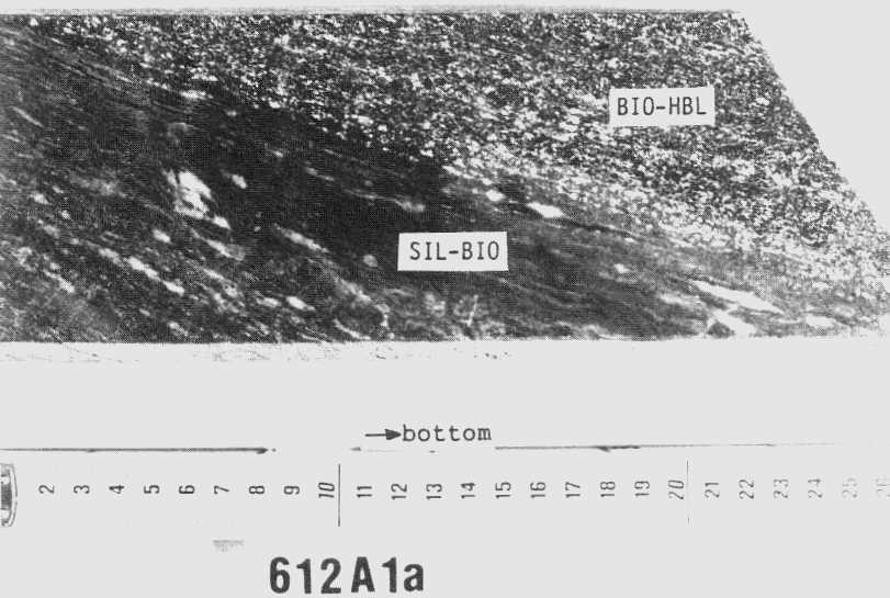 Fine-grained, mylonitic sillimanite-biotite gneiss 