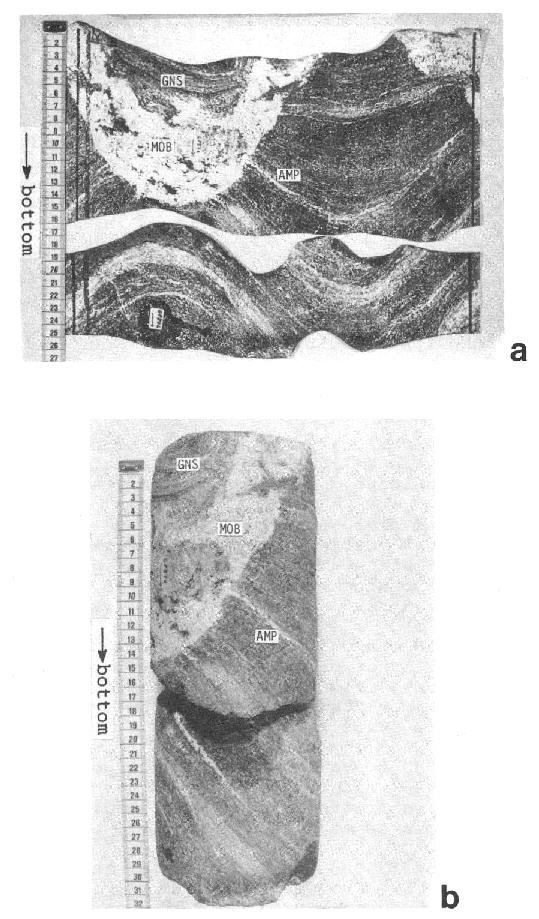 Unrolled cylinder mantle and normal photograph of two core pieces